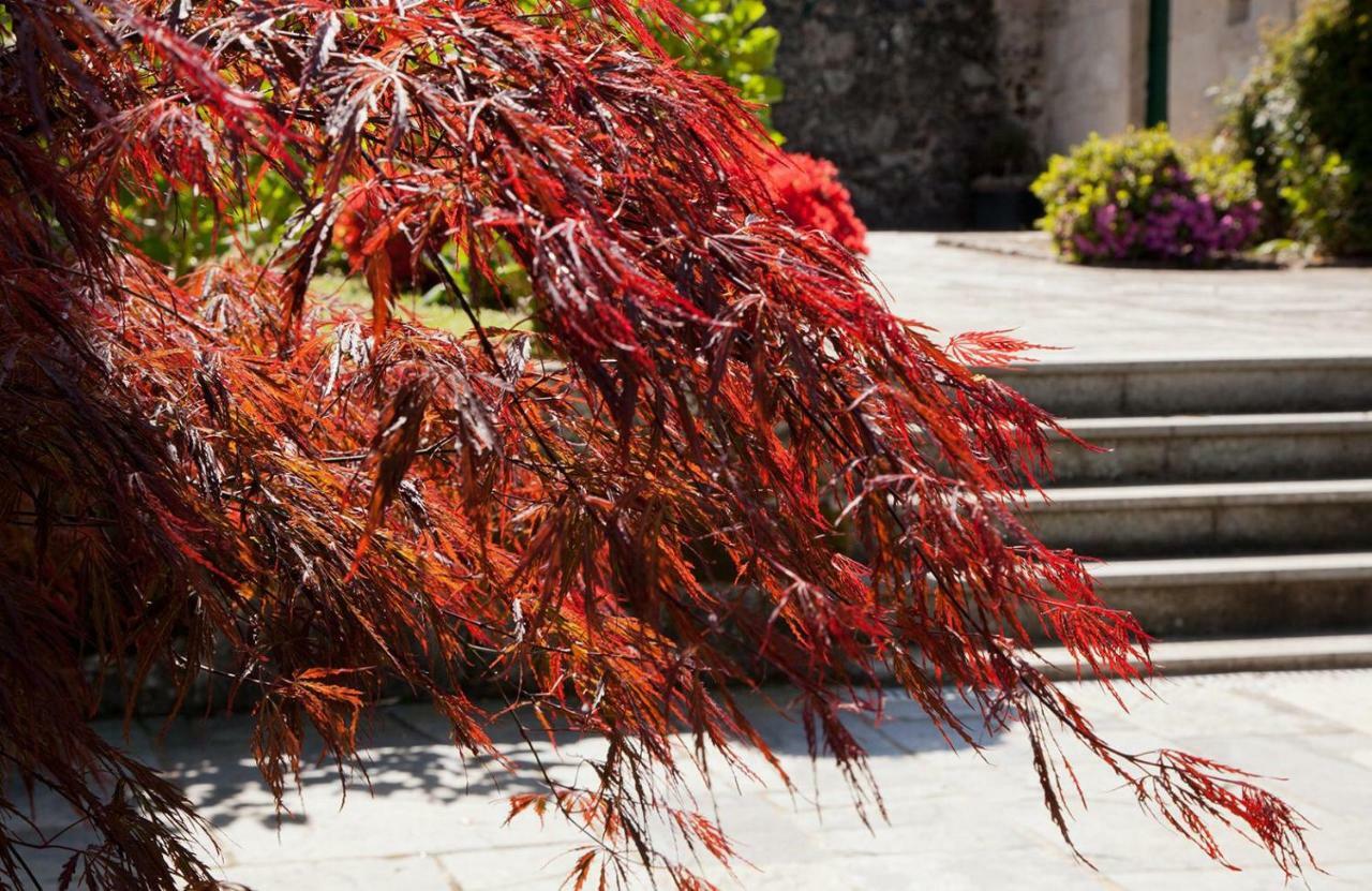 Maison d'hôtes Jardines Pazo A Fabrica à Celanova Extérieur photo